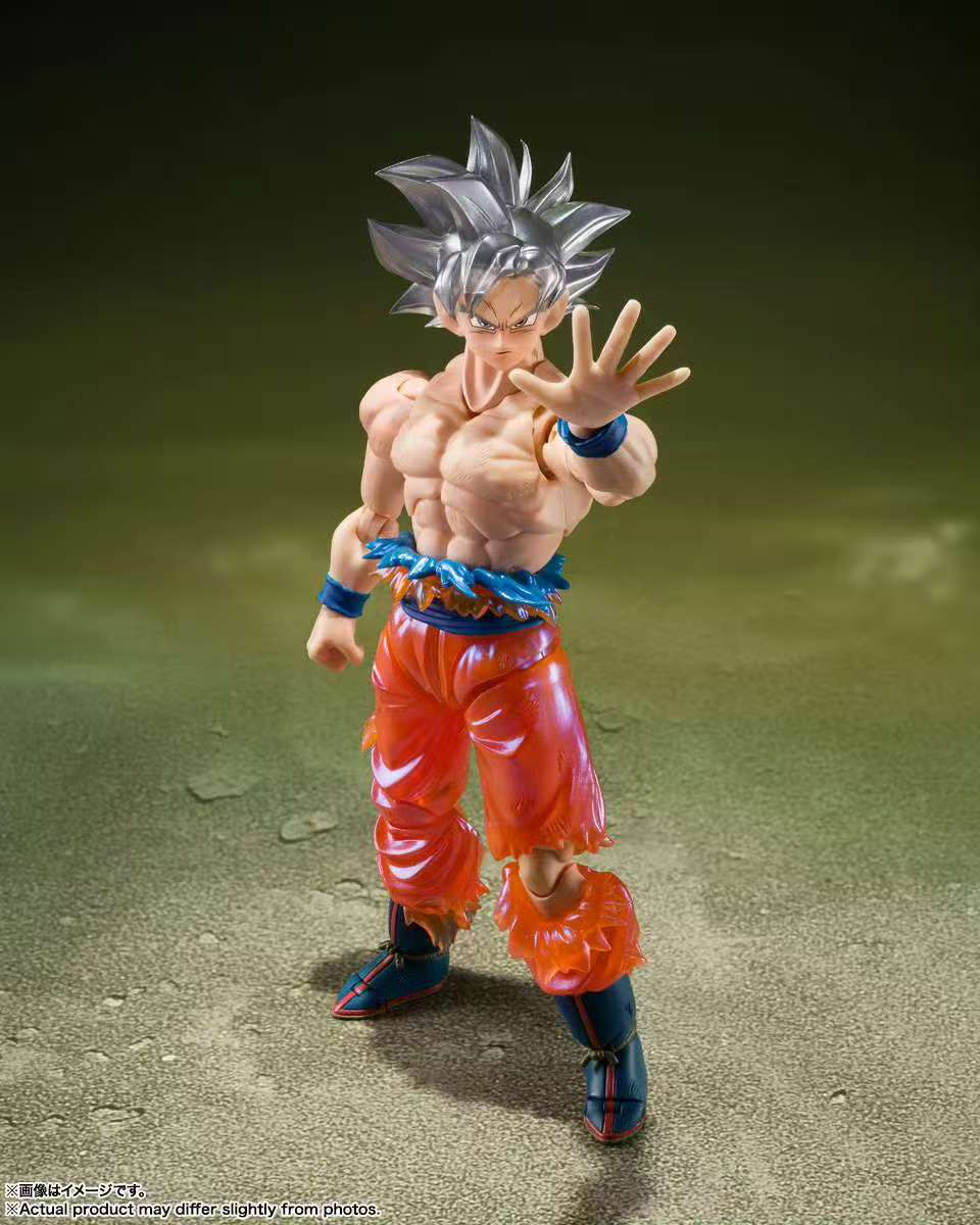 Sofort Lieferbar Bandai Dragon – Bandai Tamashii Nations S.H.Figuarts Bewertung und Preis