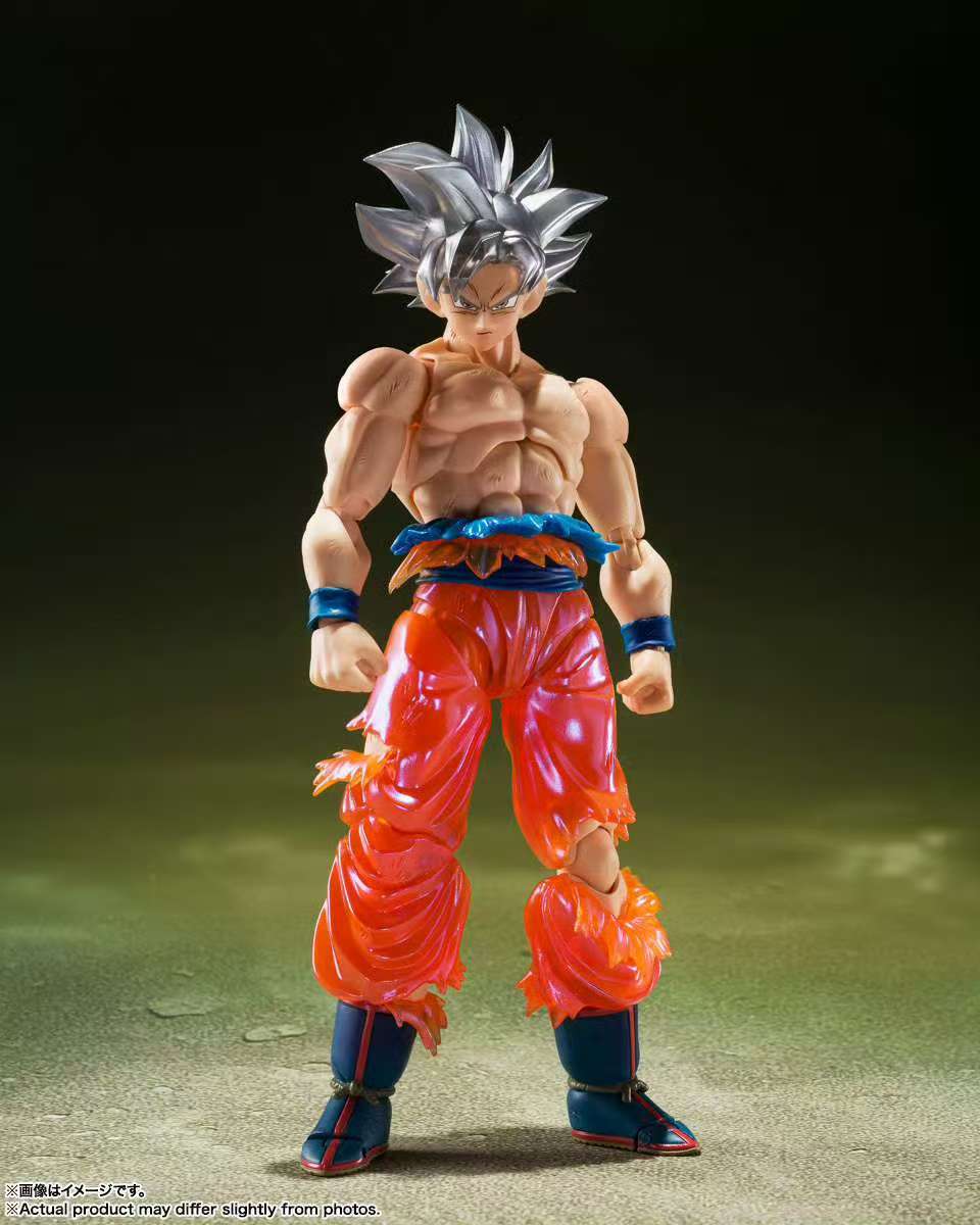 Sofort Lieferbar Bandai Dragon – Bandai Tamashii Nations S.H.Figuarts Bewertung und Preis